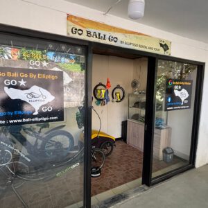 Try the ElliptiGO Indoors, Ride with Confidence Outdoors
